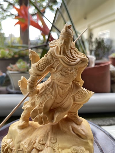 台灣現貨 實體店鋪 雲南大葉黃楊【威武關公】2