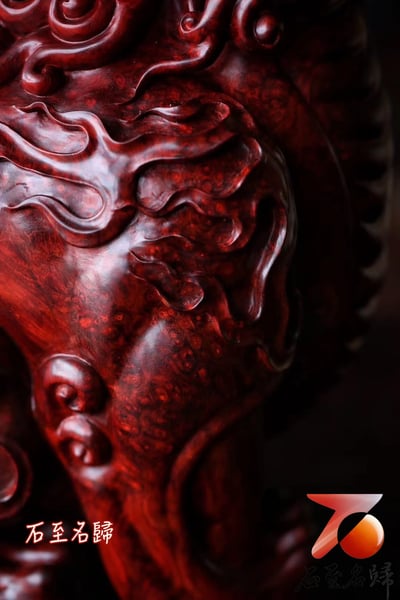 天然 印度小葉紫檀｜鎮宅聚財重器【滿瘤疤-大貔貅】7