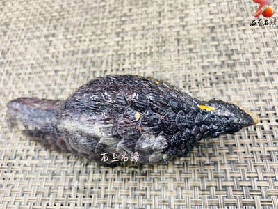 甲護平安 破障迎福 壽山山秀園【穿山甲】王逸文老師純手工雕刻4