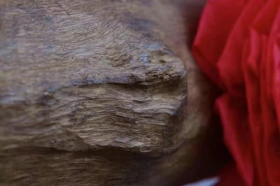 罕見超大料純天然野生加里曼丹沉香【橫財天香／鎮宅沉香】9