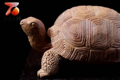 印度老山檀香製作【百財龜-亞達伯拉象龜】2