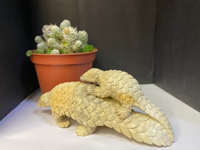 壽山花坑石【無堅不摧-穿山甲】3