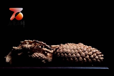 印度老山檀香【多子多福】7