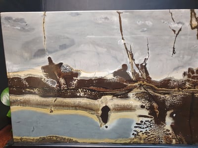 國畫石【熱帶風情】3