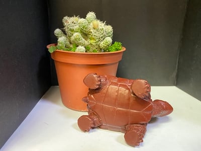 壽山峨嵋石【吉祥長壽紅龜】5