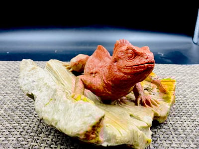 壽山老岭石【蜥蜴-吸億】7