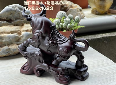 印尼黑檀木【財運如虹牛】高16公分版3