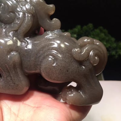 精品壽山牛角凍滿絲【招財貔貅】5