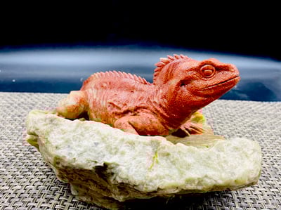 壽山老岭石【蜥蜴-吸億】6