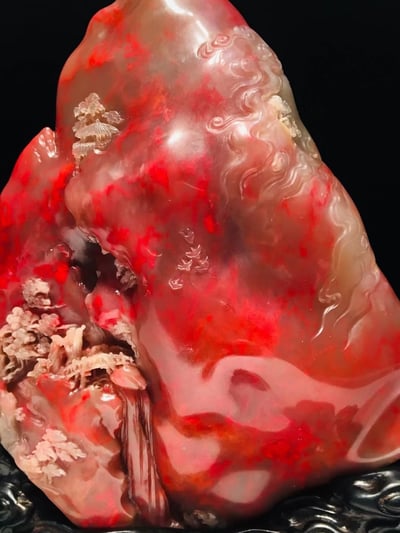 牛角凍雞血大紅袍【映山紅】8