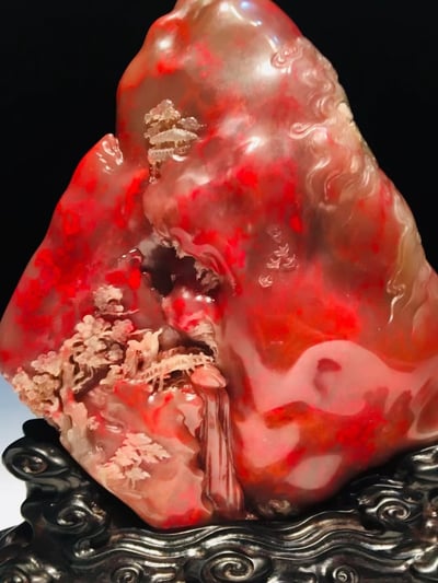 牛角凍雞血大紅袍【映山紅】6