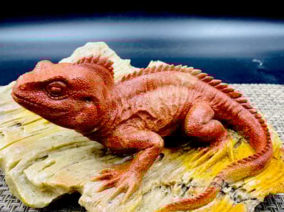 壽山老岭石【蜥蜴-吸億】2