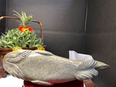 壽山旗山石【石斑魚-年年有餘】7