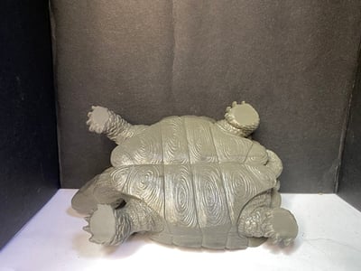 壽山峨嵋石【長壽福氣龜】5