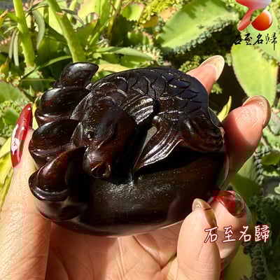 天然 印度小葉紫檀高油密爆滿金星樹心料 湘工手作【魚熊兼得．雙寶在握】4