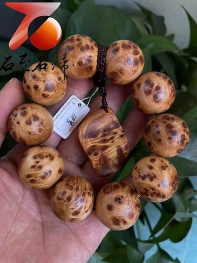 精選正宗太行崖柏雀眼瘤疤10