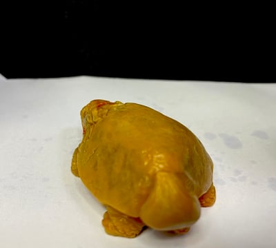 田黃石雕件【福氣長壽龍龜】3