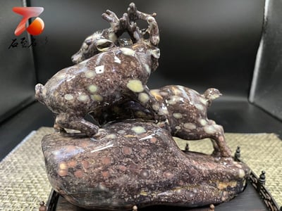 青田奇石 梅花鹿【路路發】6