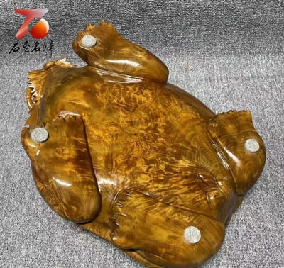 四川雅安小葉楨楠枯木老料 龍膽+瘤疤 大龍龜 重量級雕件 長50公分3