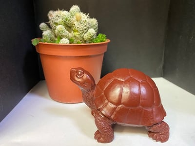 壽山峨嵋石【吉祥長壽紅龜】2