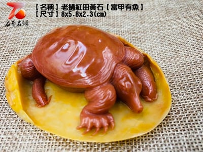 老撾紅田黃石【富甲有魚】1