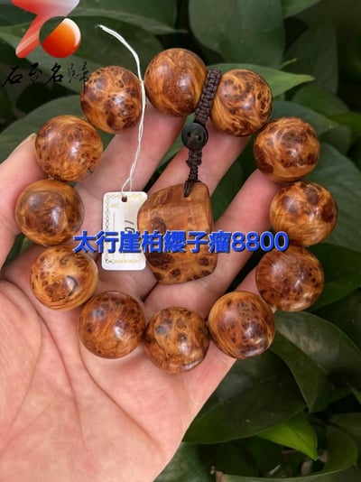 太行崖柏極品雲紋纓子瘤20mm手珠 10號1