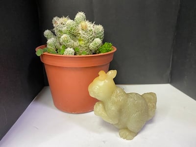 壽山石【送福松鼠】3