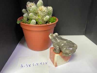 壽山石【呱呱來財】1