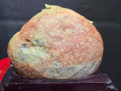 青田石【茁壯成長】6