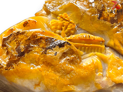 老撾北部田黃【世外桃源】4