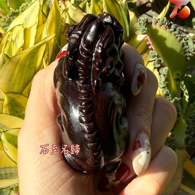 天然 印度小葉紫檀高油密帶金星樹心料 湘工手作【鎮庫貔貅】4