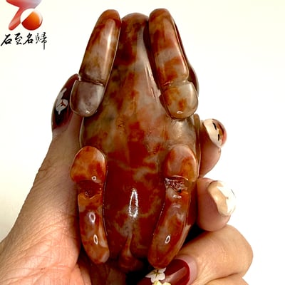 天然 老撾結晶高透光朱砂石【臥駿納寶】馬年開運石雕/手把件4