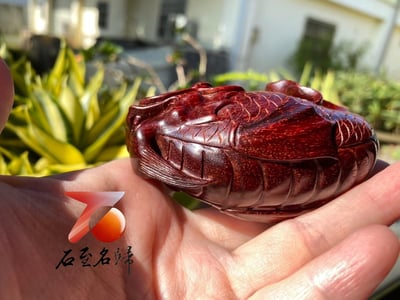 精選印度小葉紫檀高油密材質【魚化龍】8