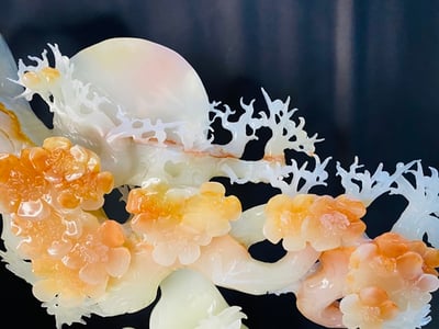 阿富汗紅花冰玉【鹿鹿發財】4