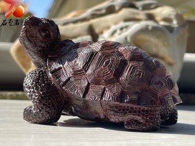 印度小葉紫檀高油密二膘料【鎮宅象龜】5