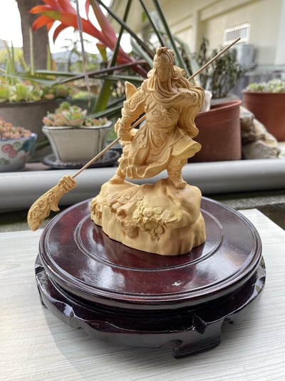 台灣現貨 實體店鋪 雲南大葉黃楊【威武關公】3