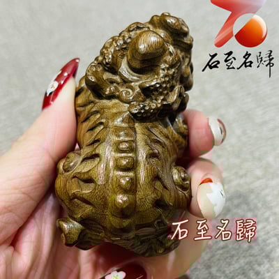 天然金絲楠木小葉楨楠｜嚴選烏木老料（陰沉綠料）【招財貔貅】5
