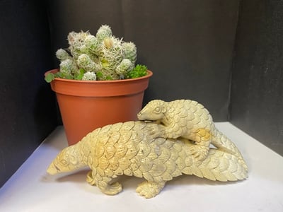 壽山花坑石【無堅不摧-穿山甲】2