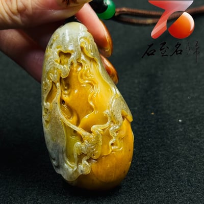 老撾烏鴉皮田黃【烏衣藏金・雙螭呈祥】3