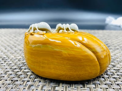 天然巧雕 壽山山秀園石系列【螞蟻大兵】4