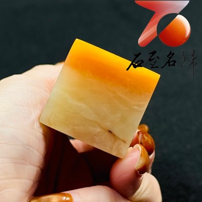 老撾三彩荔枝凍瑞獸方印8