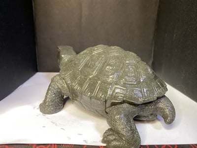 壽山豆耿石【長壽龜】3