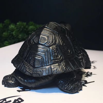 豆耿石【長壽龜】2