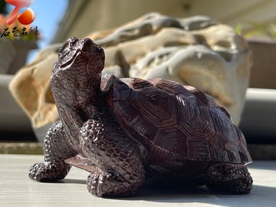 印度小葉紫檀高油密二膘料【鎮宅象龜】1