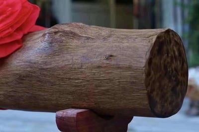 罕見超大料純天然野生加里曼丹沉香【橫財天香／鎮宅沉香】3