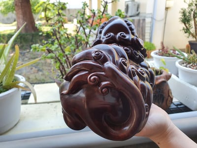 傳承臻品 海南黃花梨極品紫油梨老料【招財貔貅】5