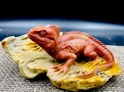 壽山老岭石【蜥蜴-吸億】1