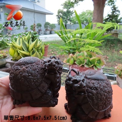 印度小葉紫檀【太極龜】1