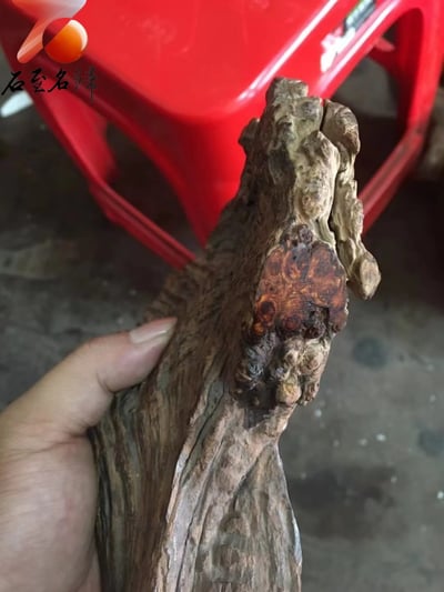 海南黃花梨360度滿瘤疤15mm手珠【至尊王者】重量31.8克5