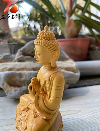 台灣現貨 實體店鋪 雲南小葉黃楊【如來佛祖】6